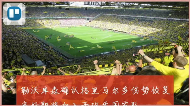 勒沃库森确认格里马尔多伤势恢复良好即将加入西班牙国家队