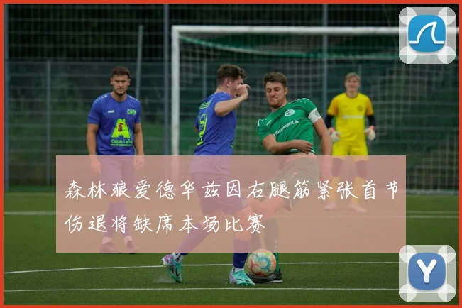 森林狼爱德华兹因右腿筋紧张首节伤退将缺席本场比赛