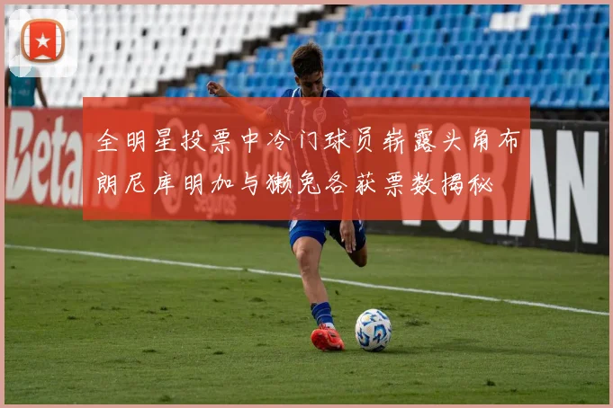 全明星投票中冷门球员崭露头角布朗尼库明加与獭兔各获票数揭秘