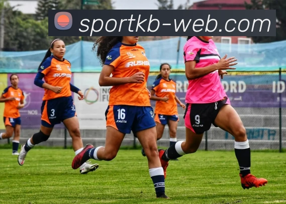 KB体育APP 高清赛事图